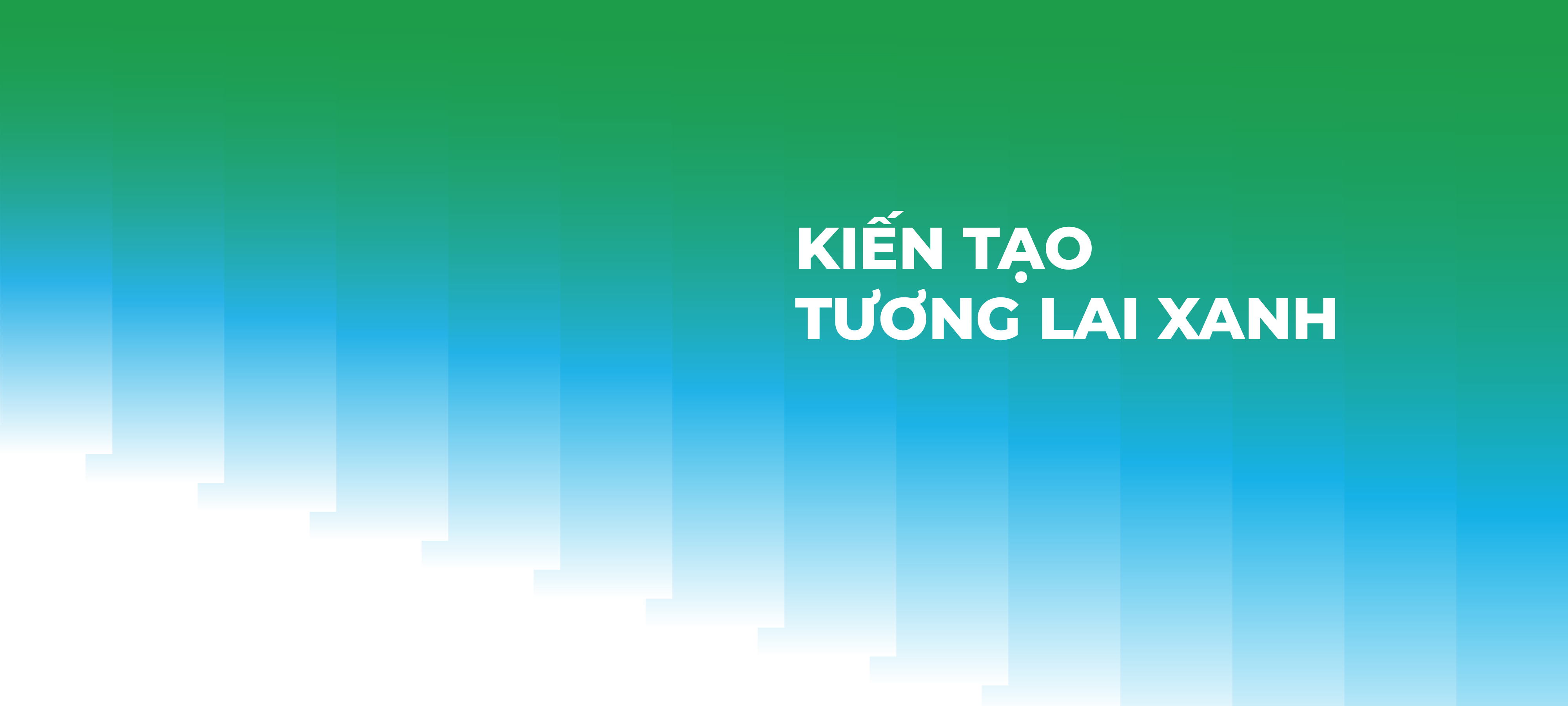 ảnh slider