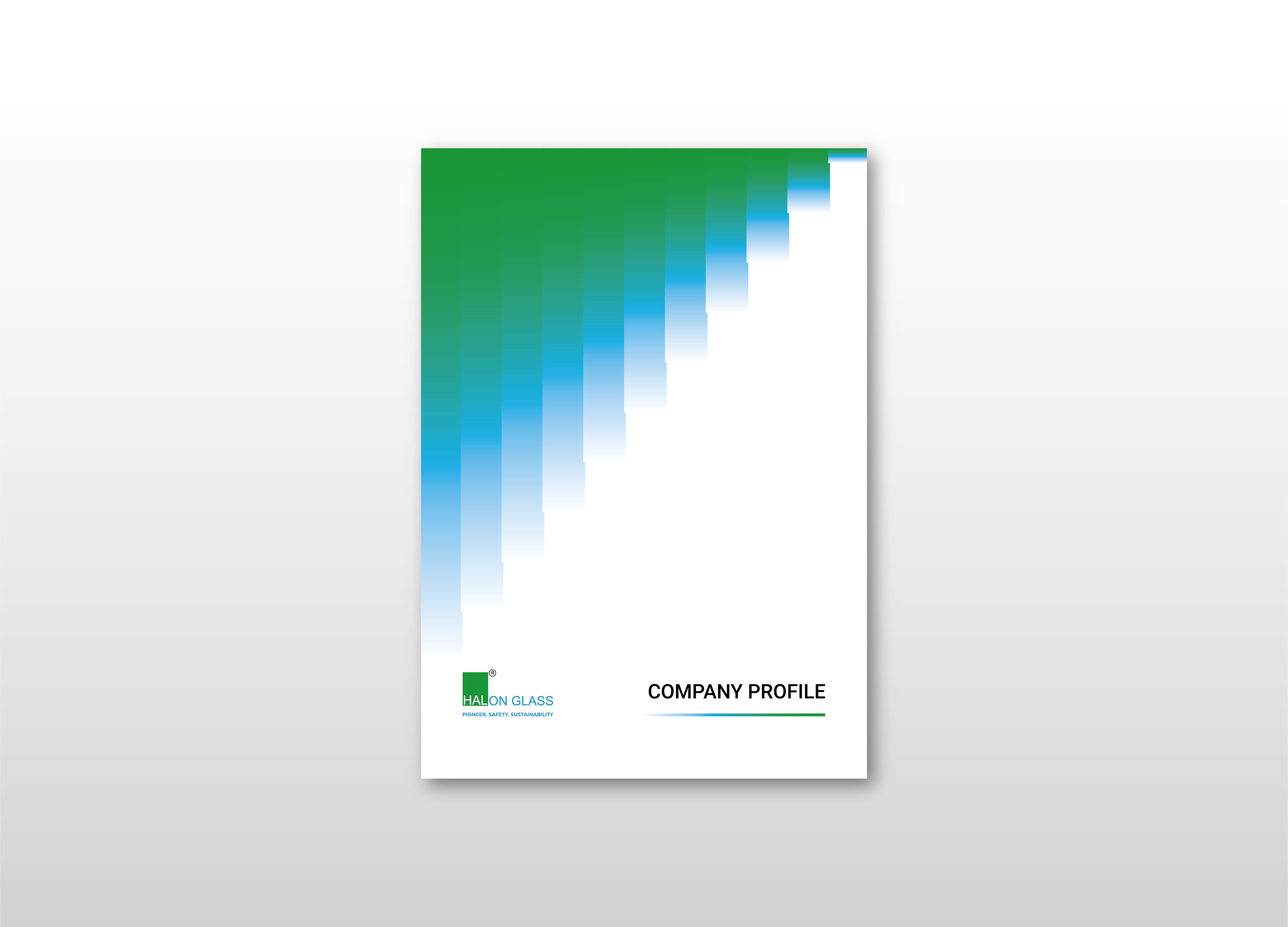 Company profile